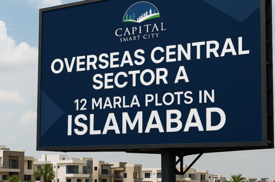 ✨ Why Overseas Central Sector A Is a Smart Investment?