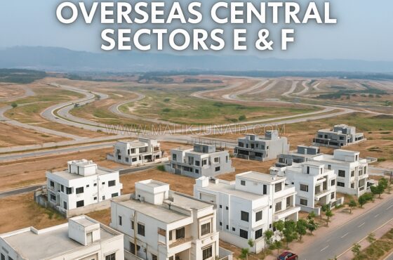 Overseas Central Sector E & F: The New Pulse of Capital Smart City Islamabad