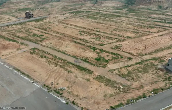 capital smart city executive 1 (101) (Copy)