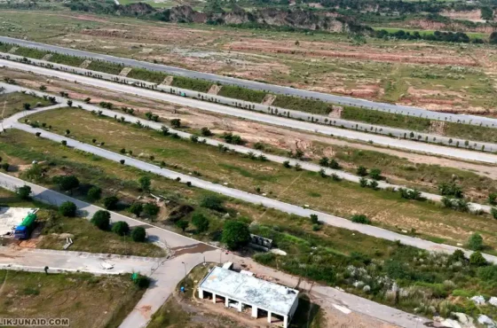 Introduction: Why Executive Sector B Matters for Buyers