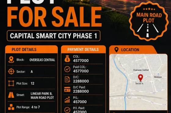 Capital Smart City Phase 1 Overseas Central Sector A — 12 Marla Plot for Sale